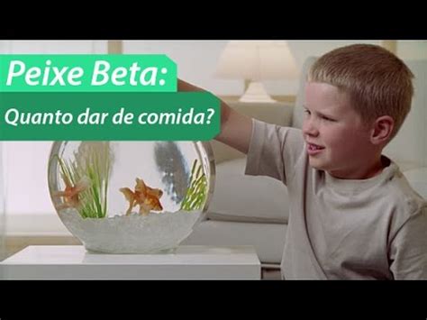 quanto dar de comida para um beta